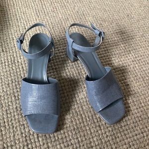 Everlane Block heel sandal in blue lizard leather